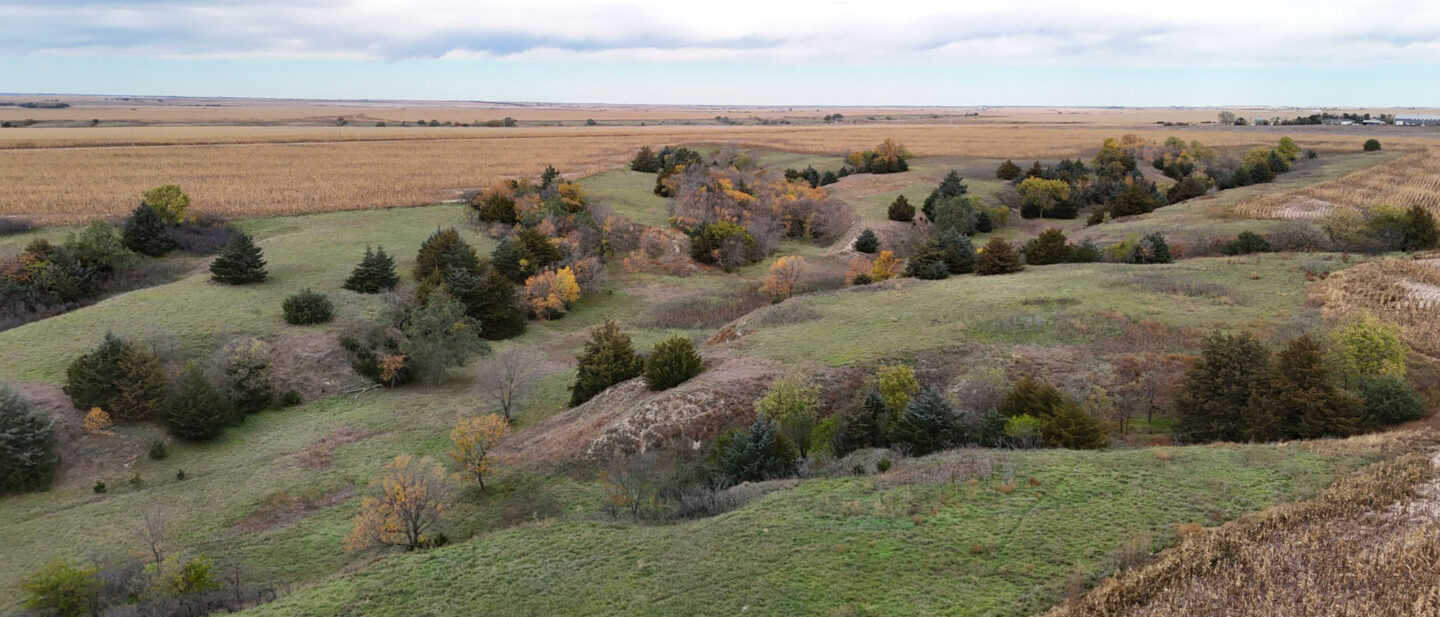 DJI 20251020112143 0233 D