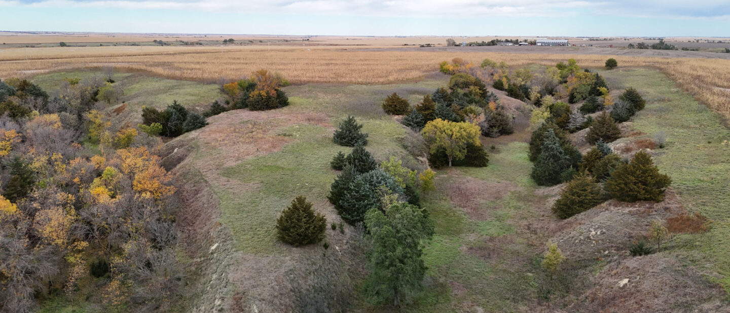 DJI 20251020112201 0234 D