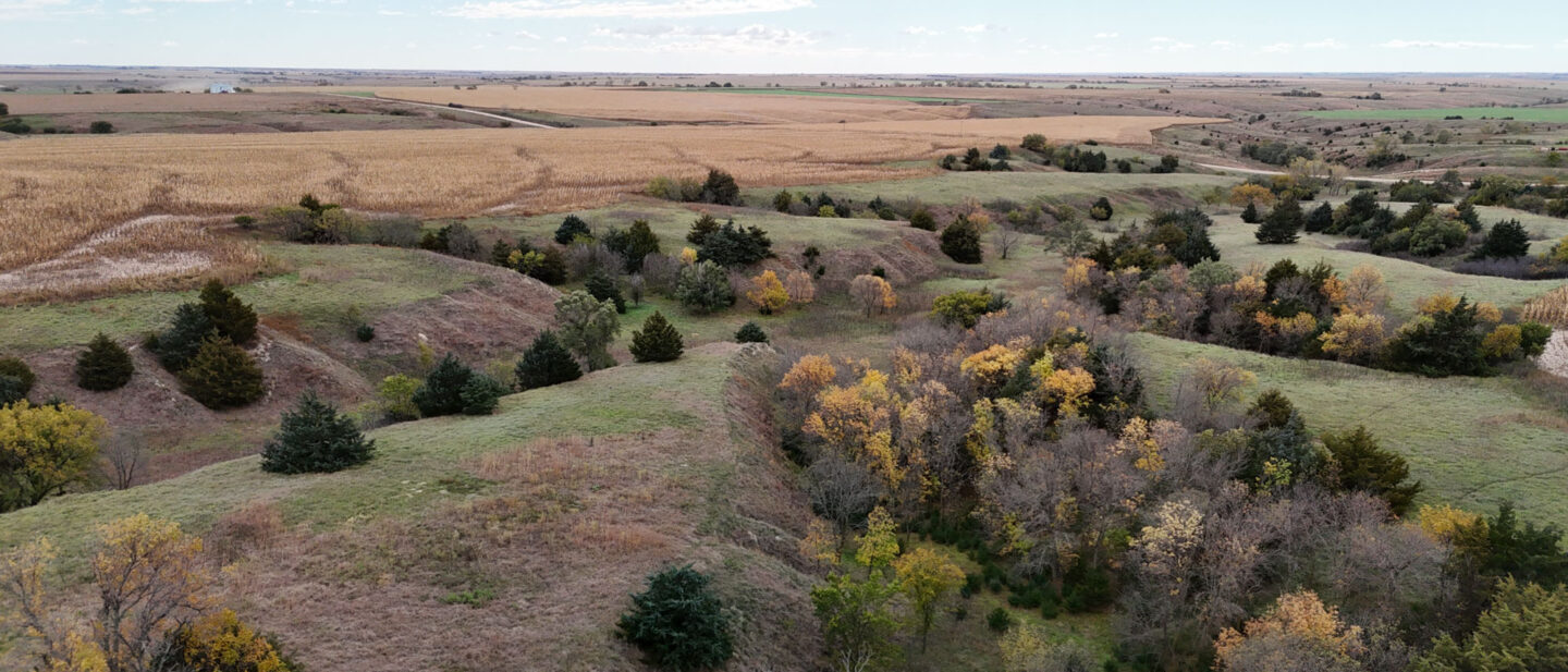 DJI 20251020112231 0235 D