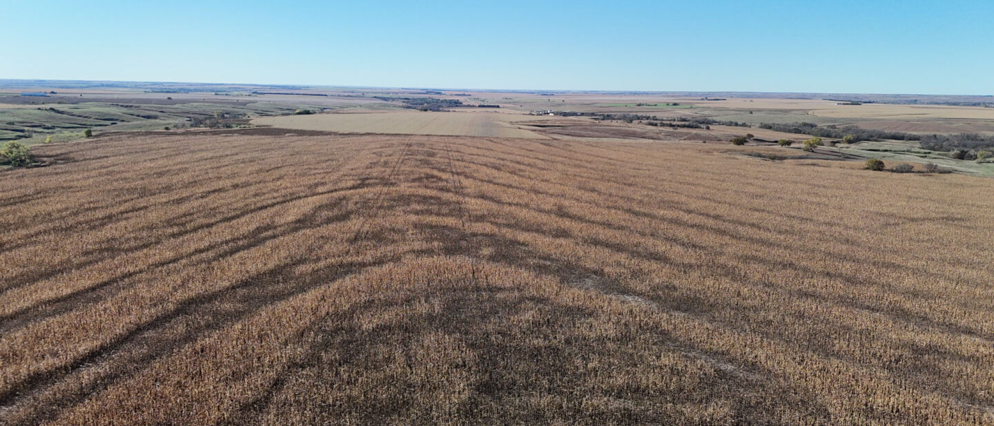 DJI 20251021101528 0236 D