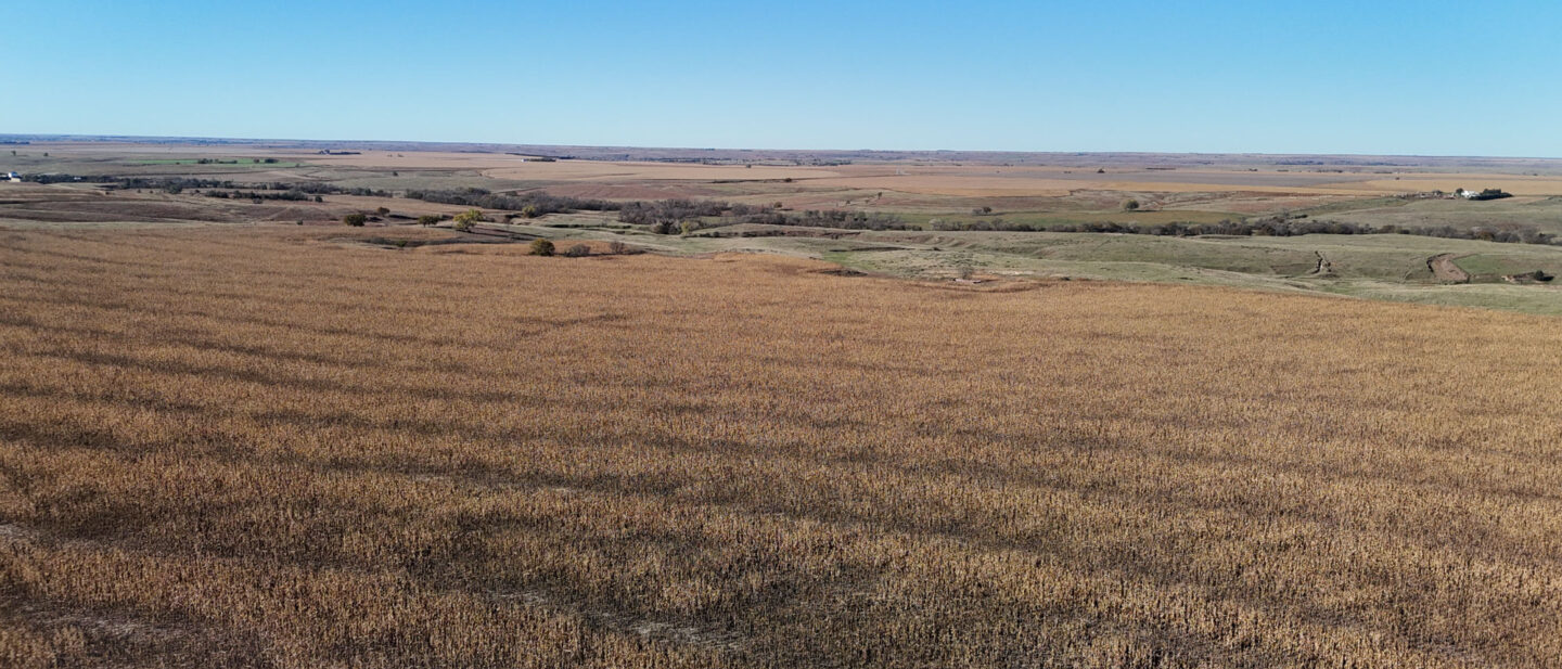 DJI 20251021101531 0237 D