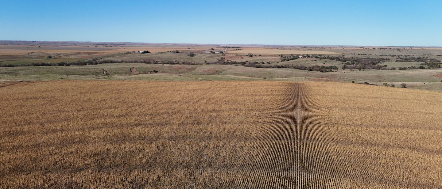 DJI 20251021101534 0238 D