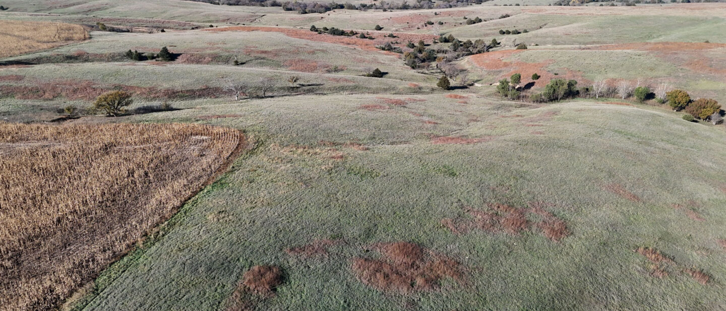 DJI 20251021101630 0239 D