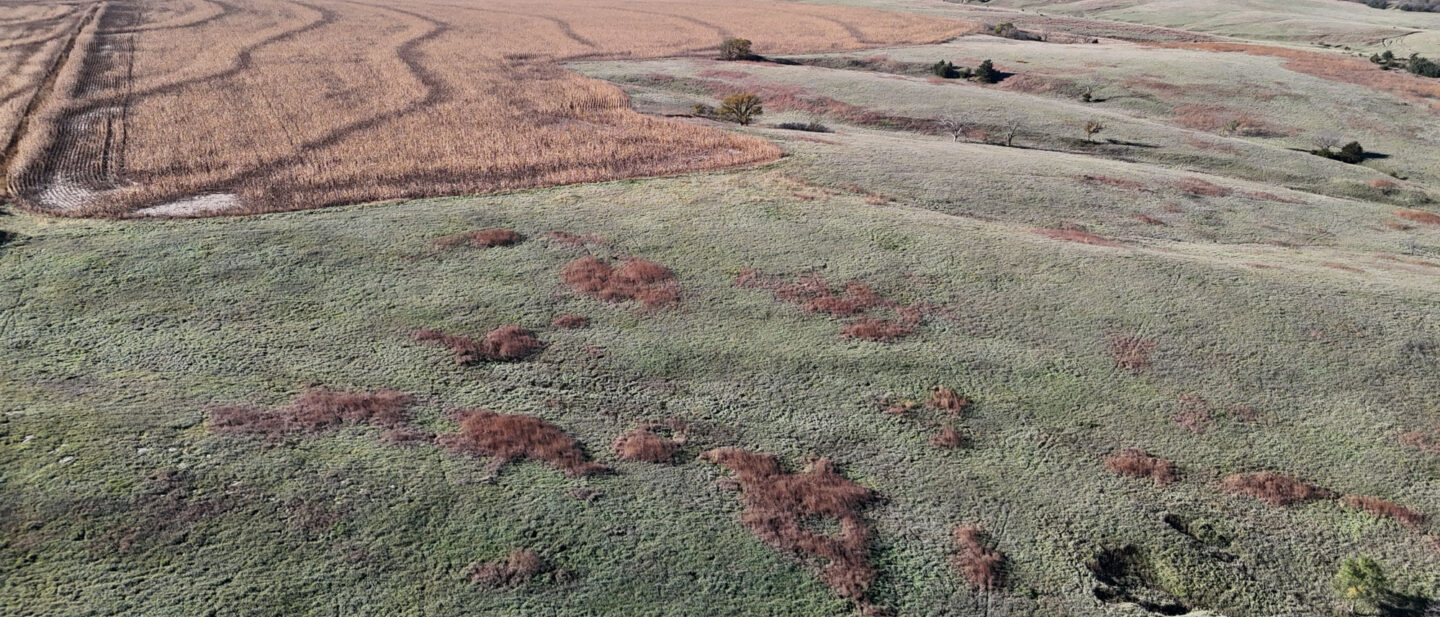 DJI 20251021101645 0240 D