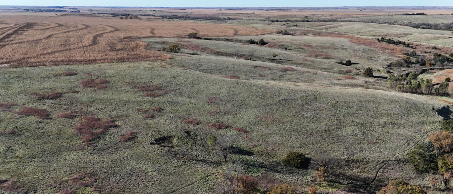 DJI 20251021101700 0241 D