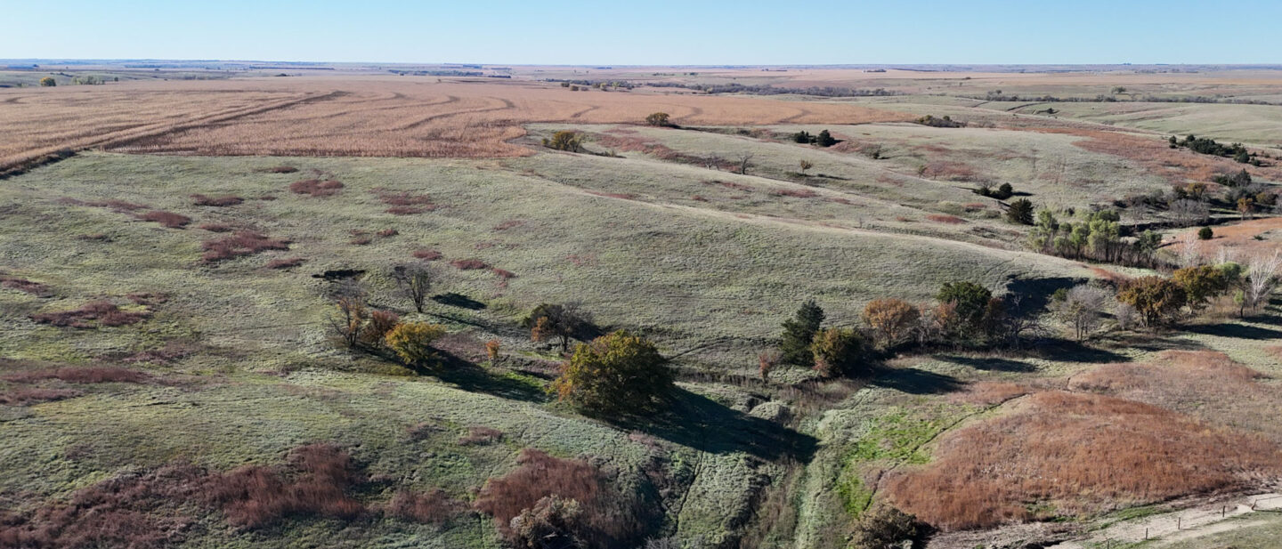 DJI 20251021101728 0242 D