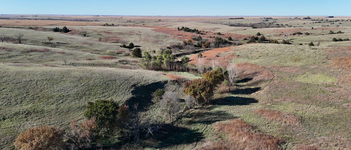 DJI 20251021101800 0243 D