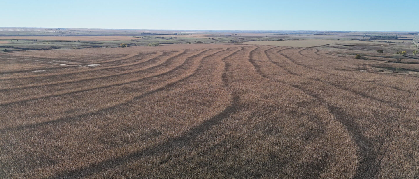 DJI 20251021102212 0245 D