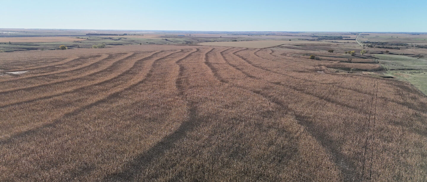 DJI 20251021102216 0246 D