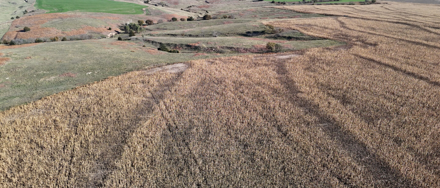 DJI 20251021102231 0247 D