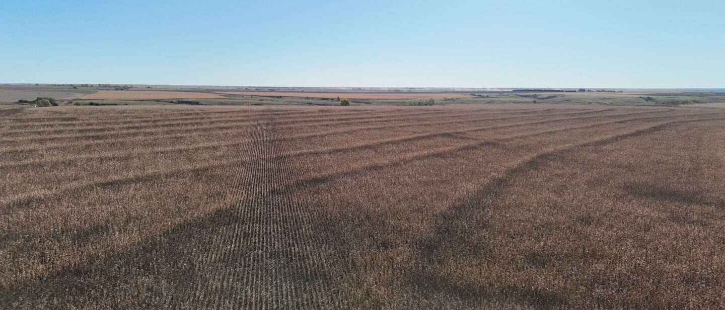 DJI 20251021102301 0248 D