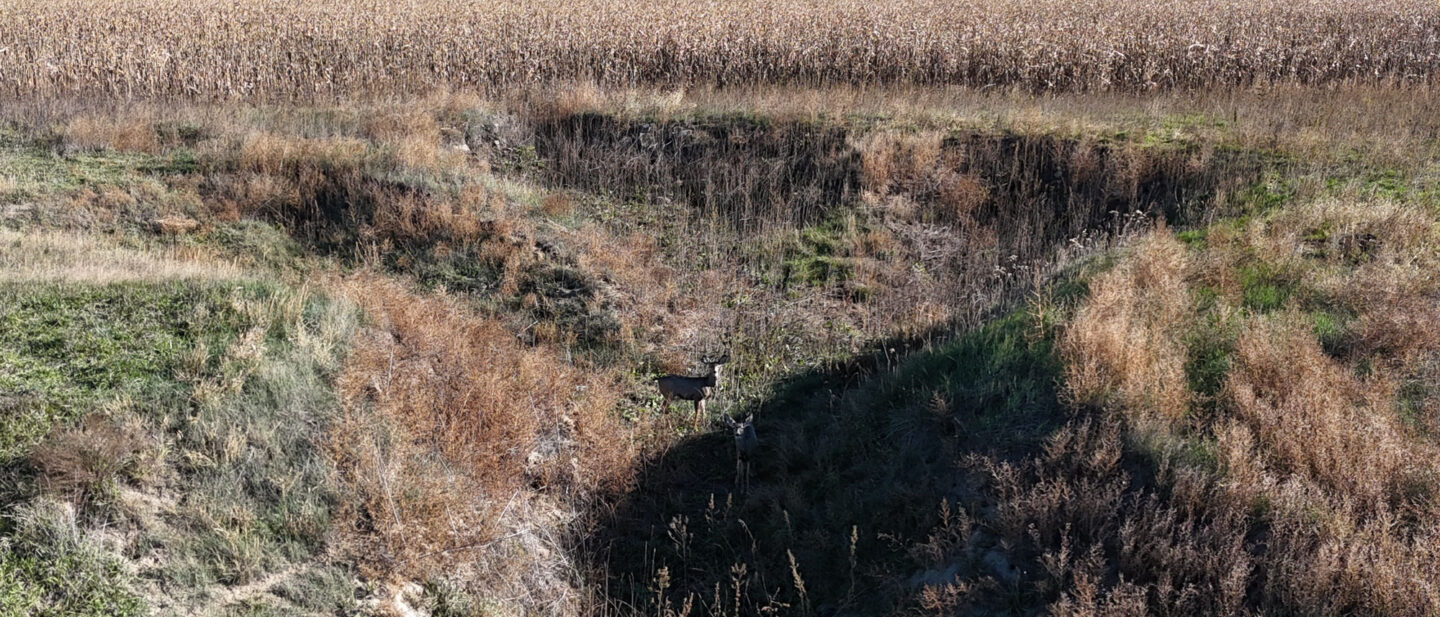 DJI 20251021102409 0249 D