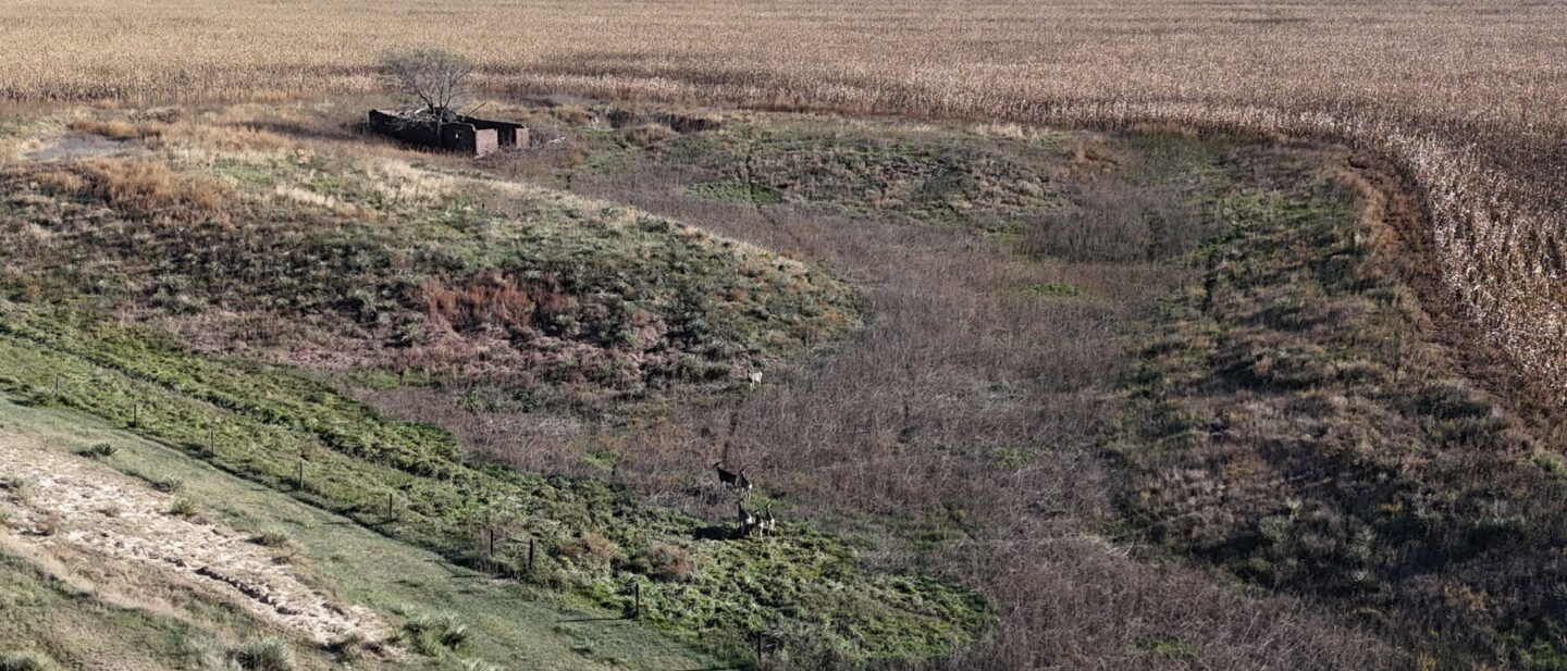 DJI 20251021102557 0250 D