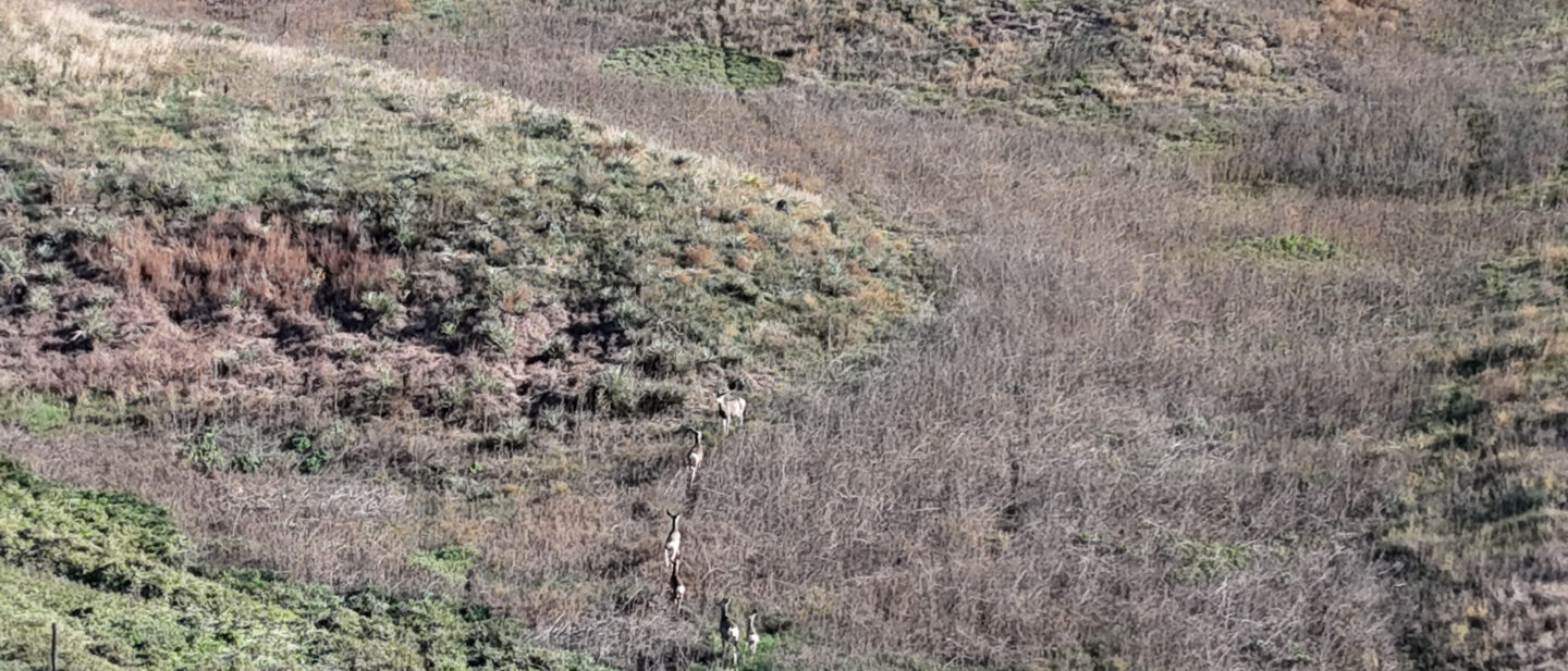 DJI 20251021102610 0251 D