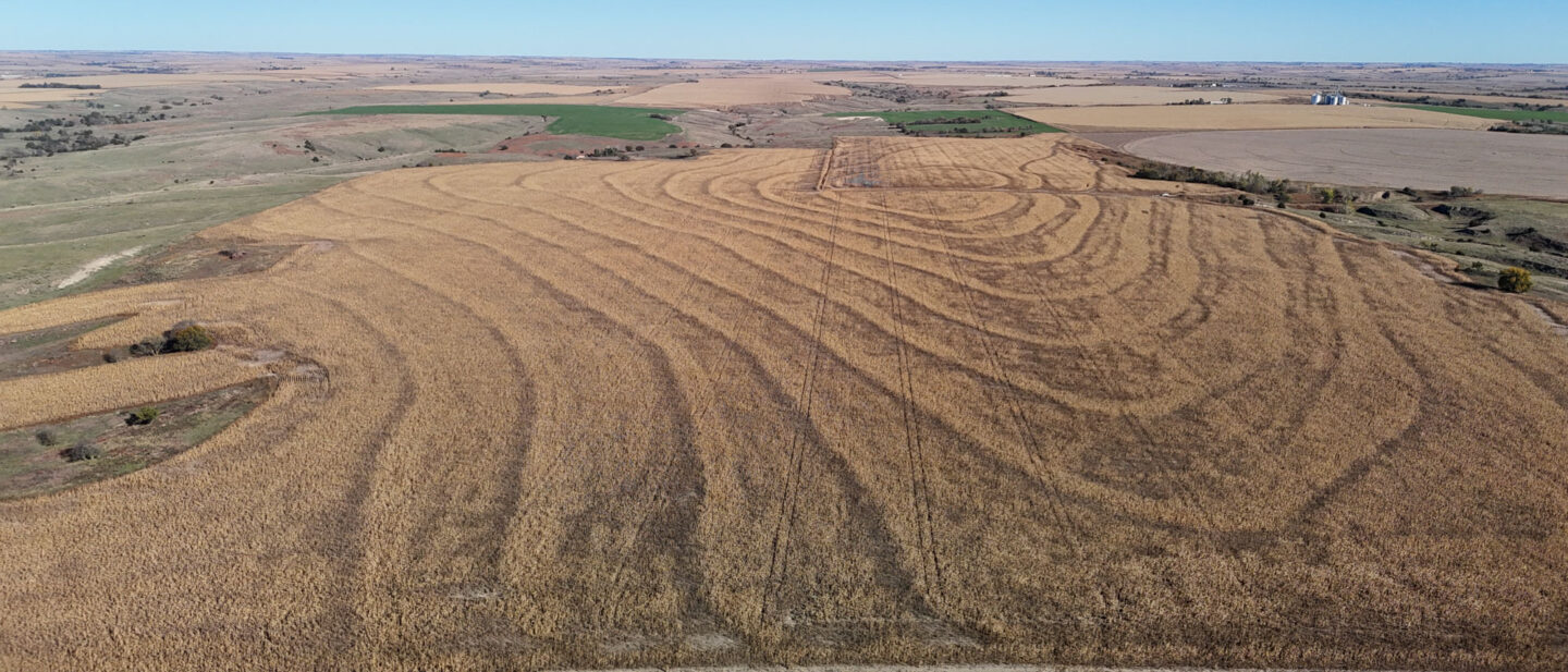 DJI 20251021102908 0253 D