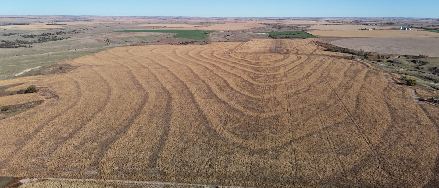 DJI 20251021102917 0254 D