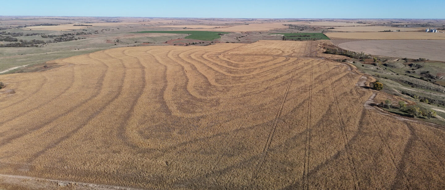 DJI 20251021102928 0255 D