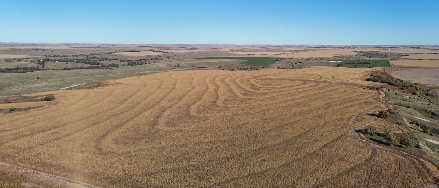 DJI 20251021102940 0256 D