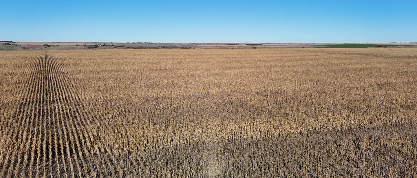 DJI 20251021103202 0258 D