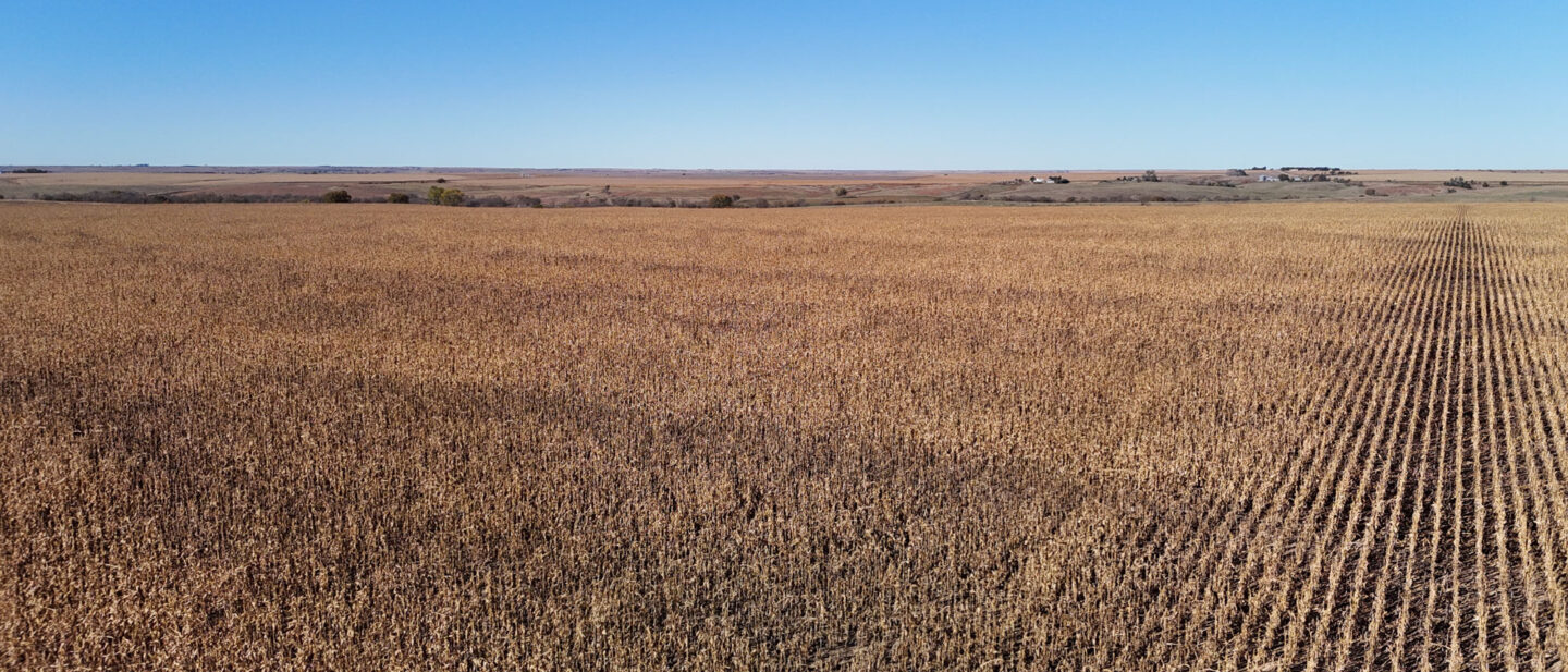 DJI 20251021103206 0259 D