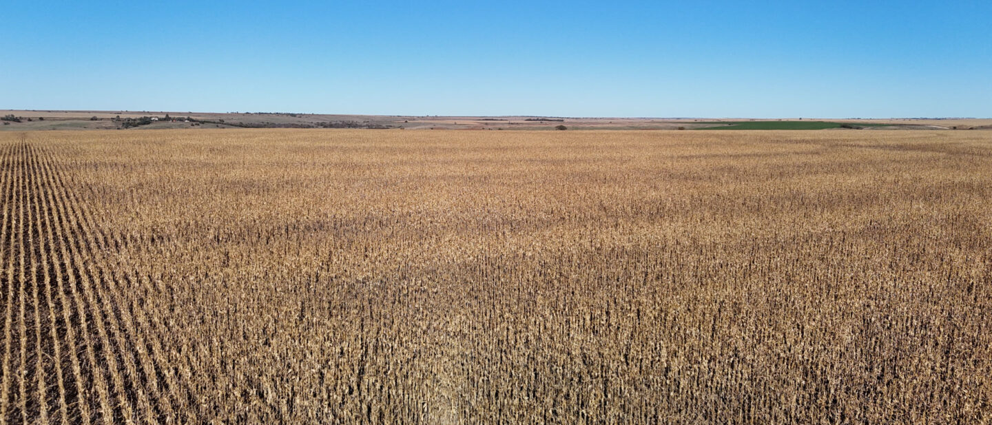 DJI 20251021103213 0260 D