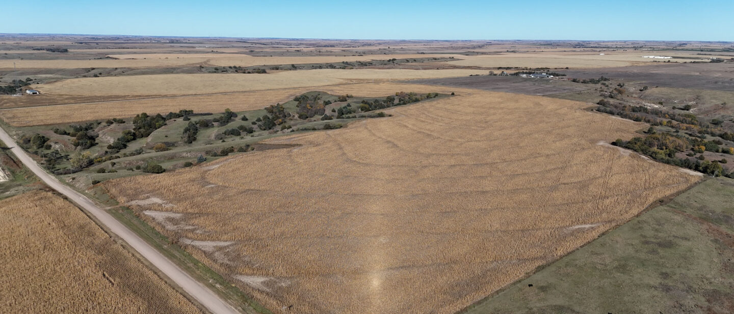 DJI 20251021104536 0262 D