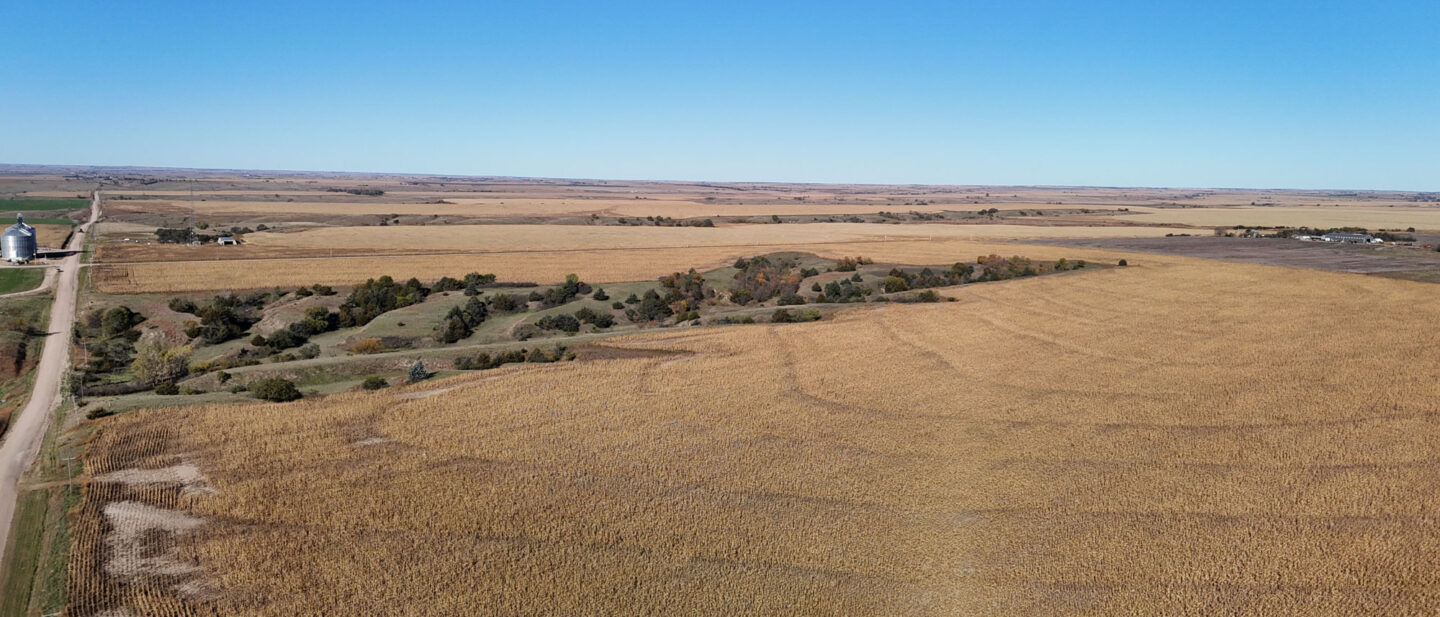 DJI 20251021104556 0263 D