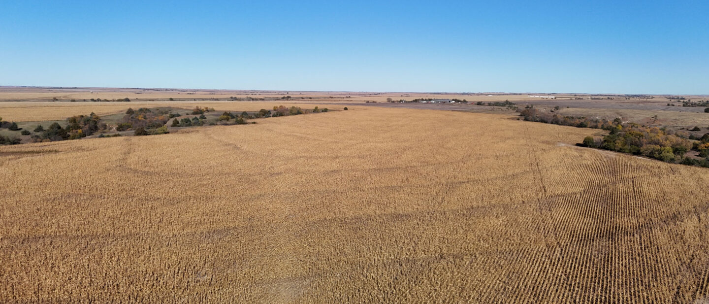 DJI 20251021104608 0265 D