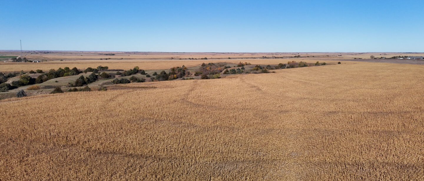 DJI 20251021104613 0266 D