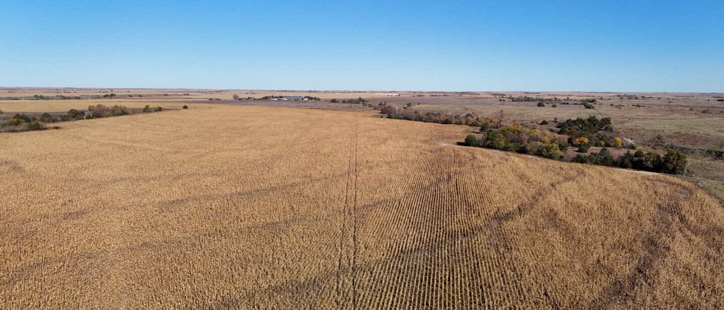 DJI 20251021104615 0267 D