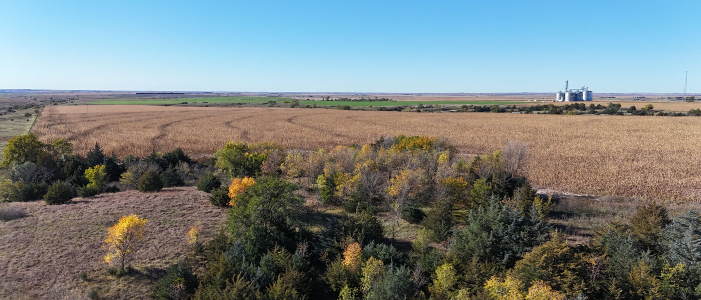 DJI 20251021104812 0268 D