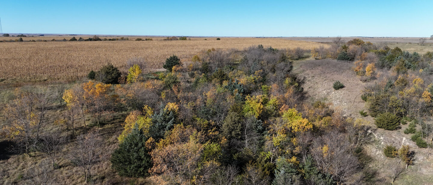 DJI 20251021104851 0269 D