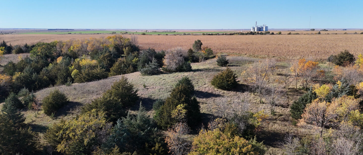 DJI 20251021104903 0270 D