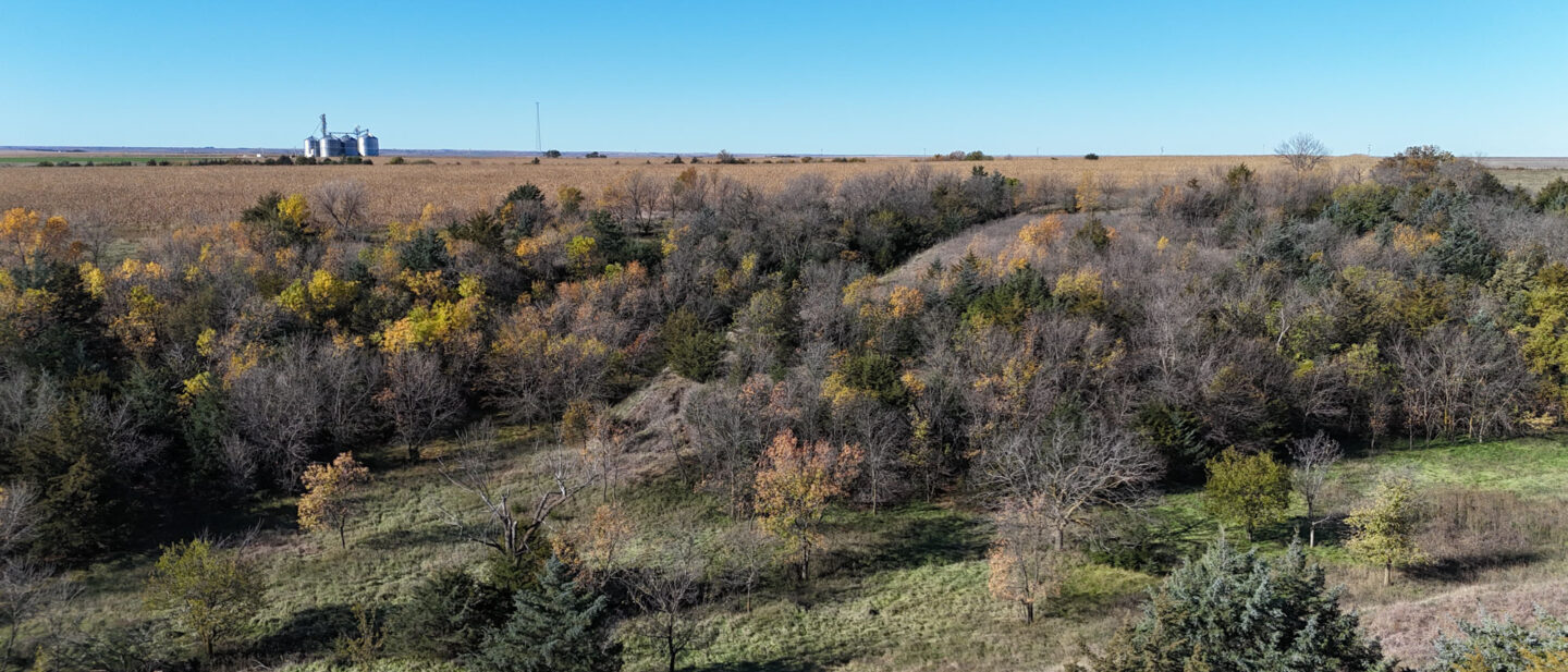 DJI 20251021104926 0271 D