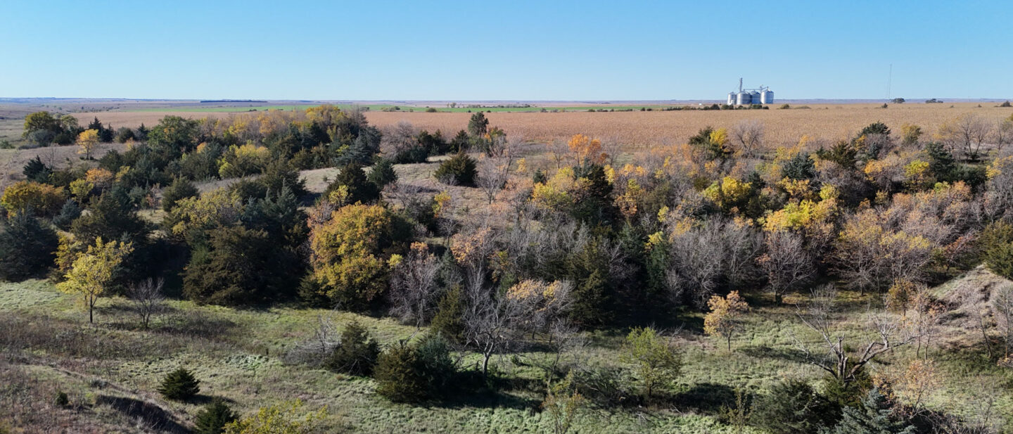 DJI 20251021104928 0272 D