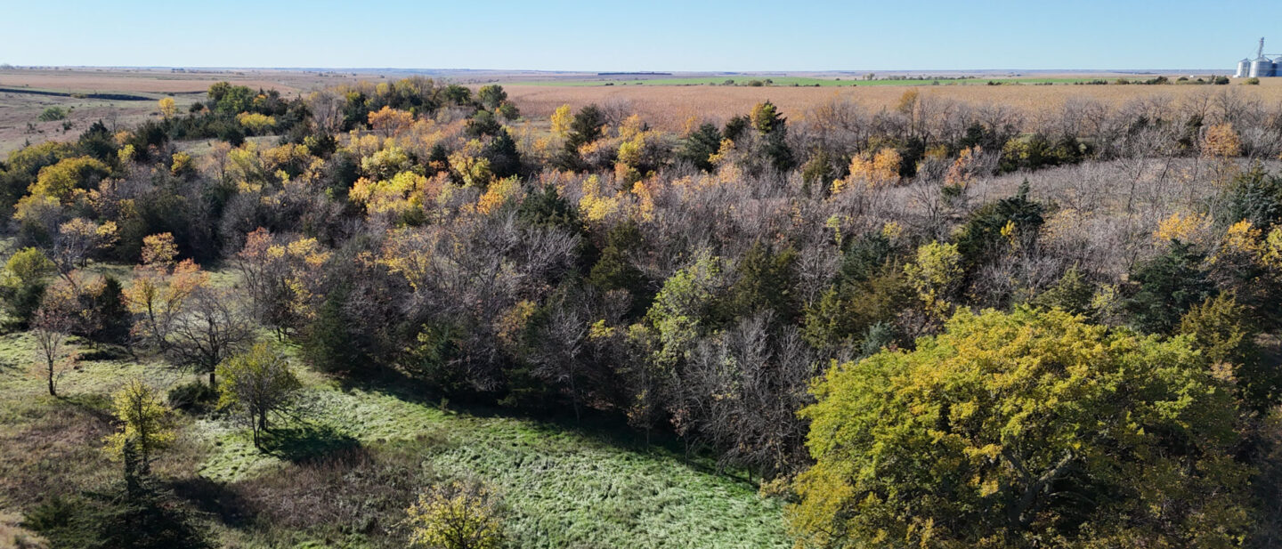 DJI 20251021105005 0273 D