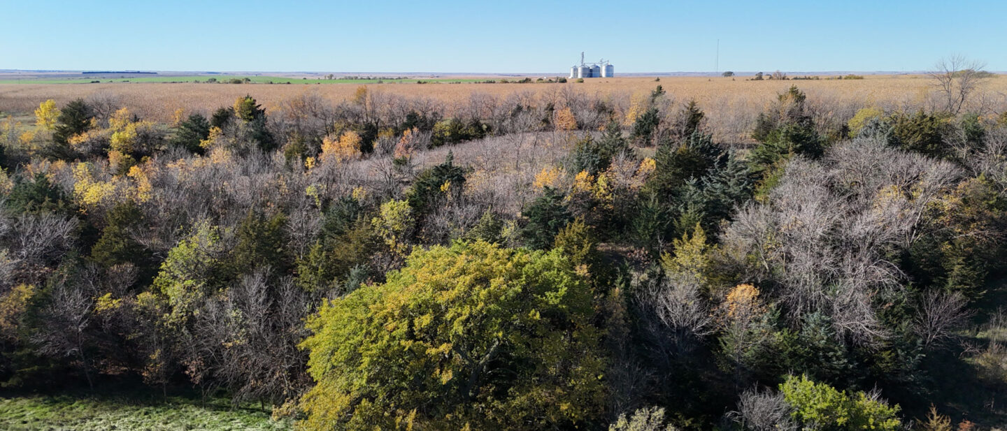 DJI 20251021105011 0274 D