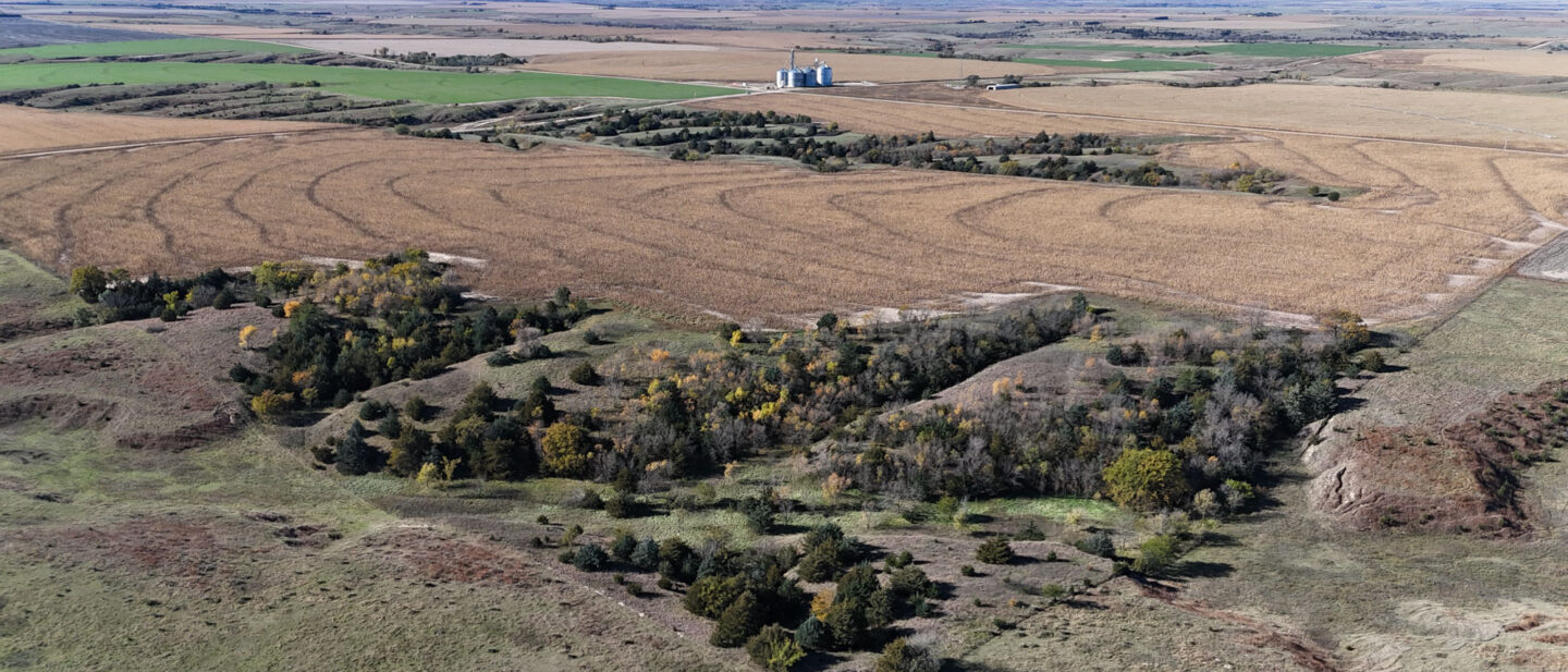 DJI 20251021105112 0275 D