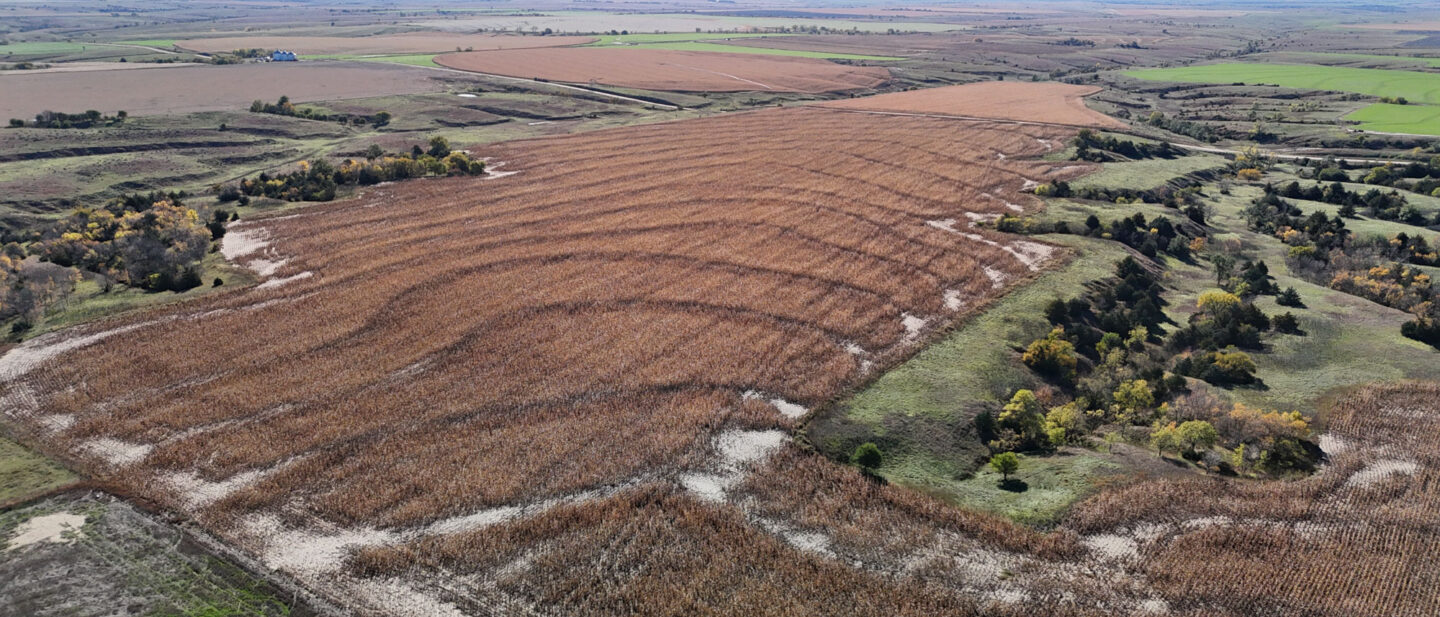 DJI 20251021105234 0278 D