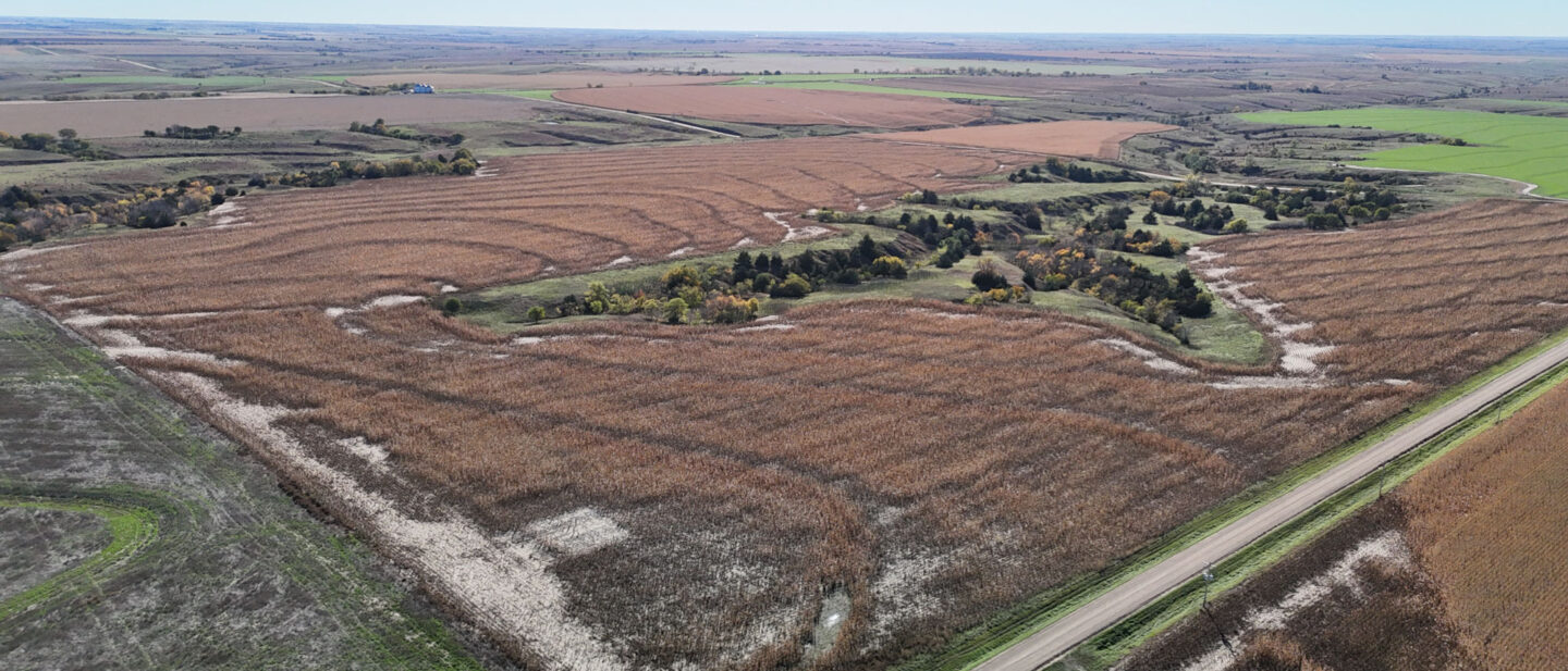 DJI 20251021105309 0279 D