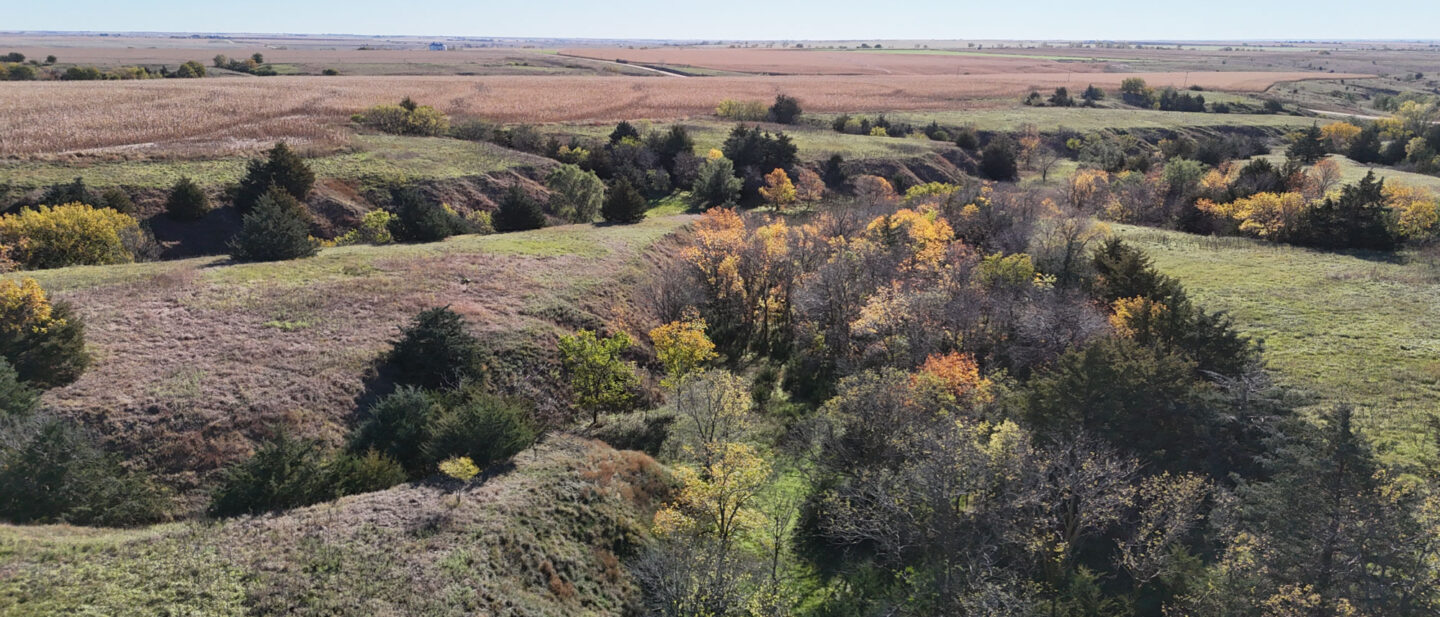 DJI 20251021105403 0280 D