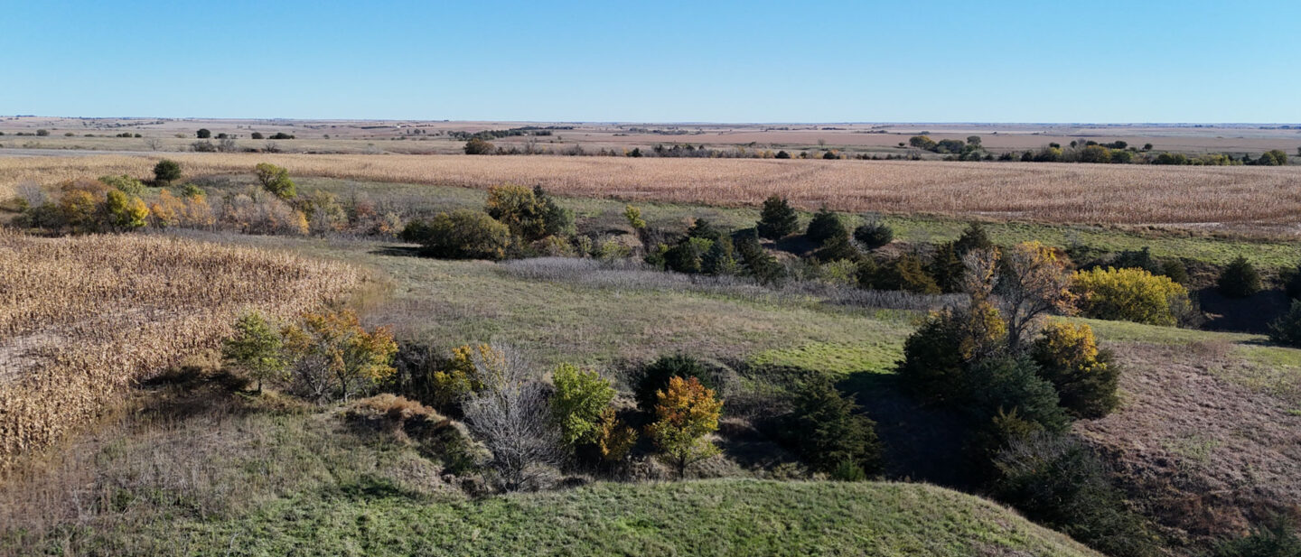 DJI 20251021105410 0281 D