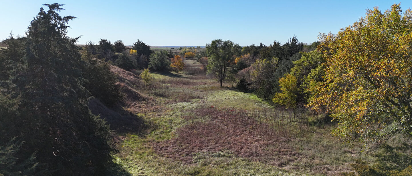 DJI 20251021105544 0282 D