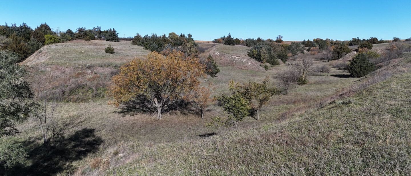 DJI 20251021105802 0287 D