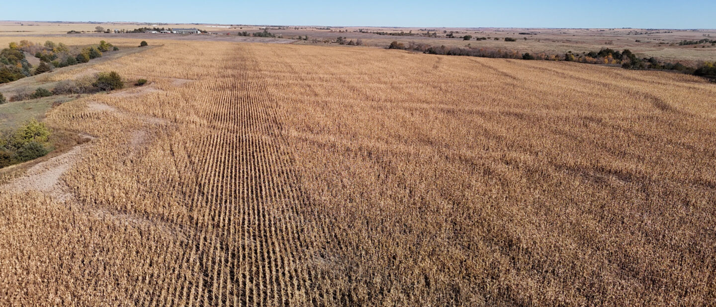 DJI 20251021105827 0288 D