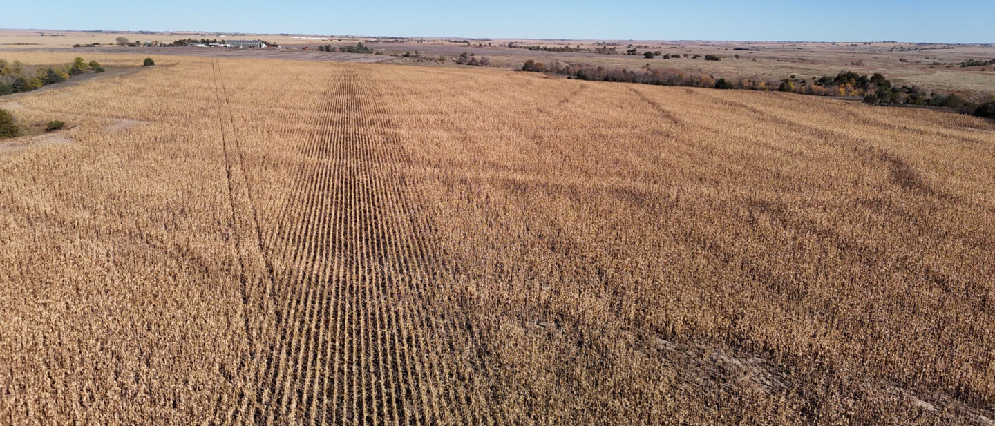 DJI 20251021105831 0289 D