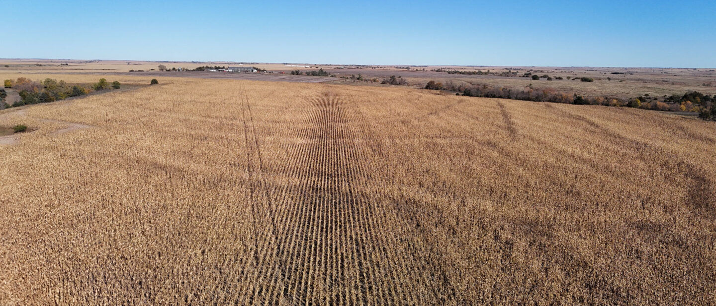 DJI 20251021105835 0290 D