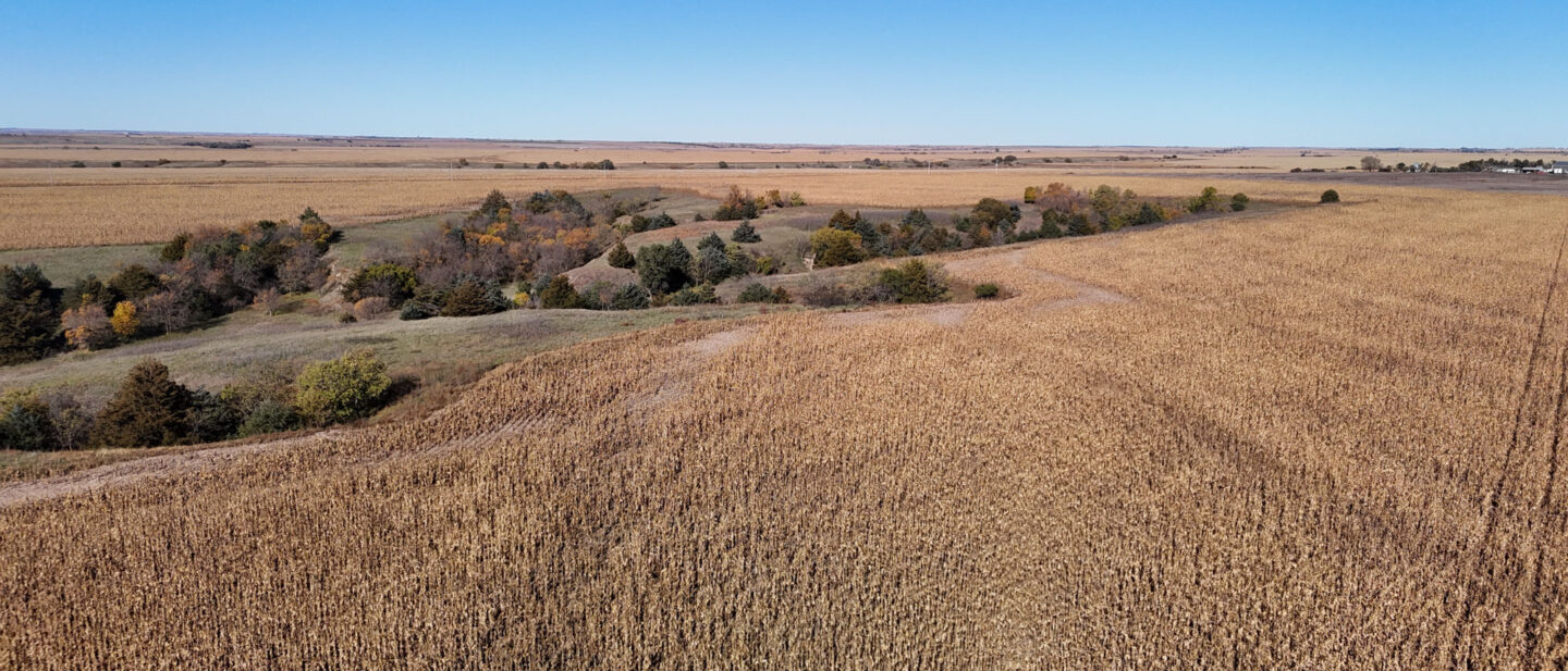 DJI 20251021105840 0291 D