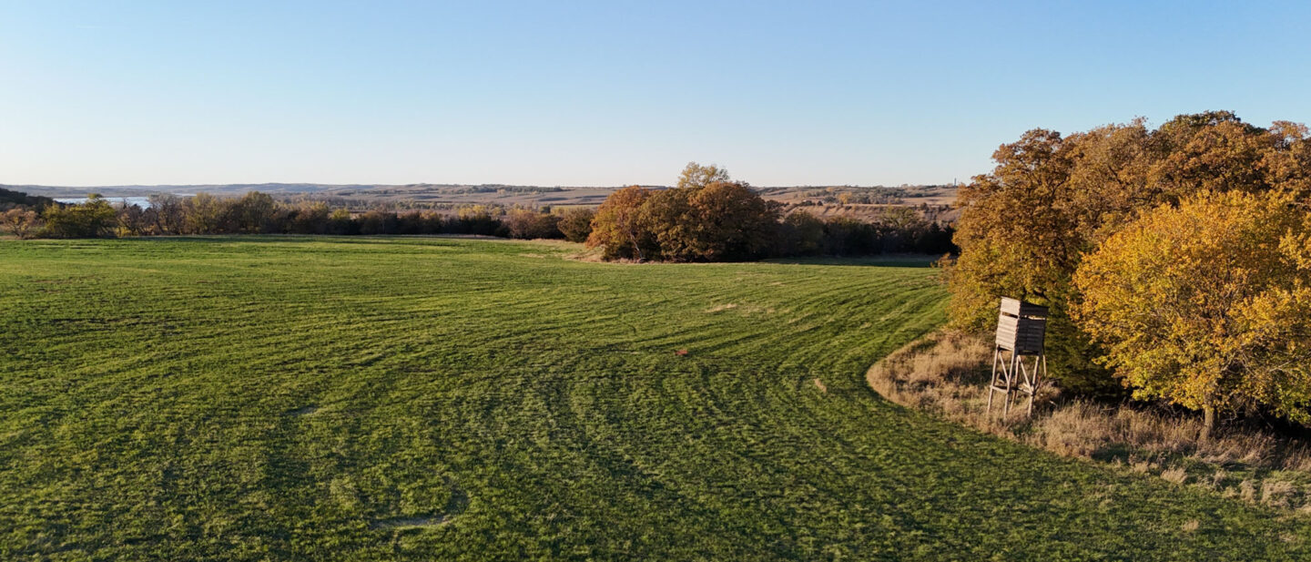 DJI 20251022181003 0045 D