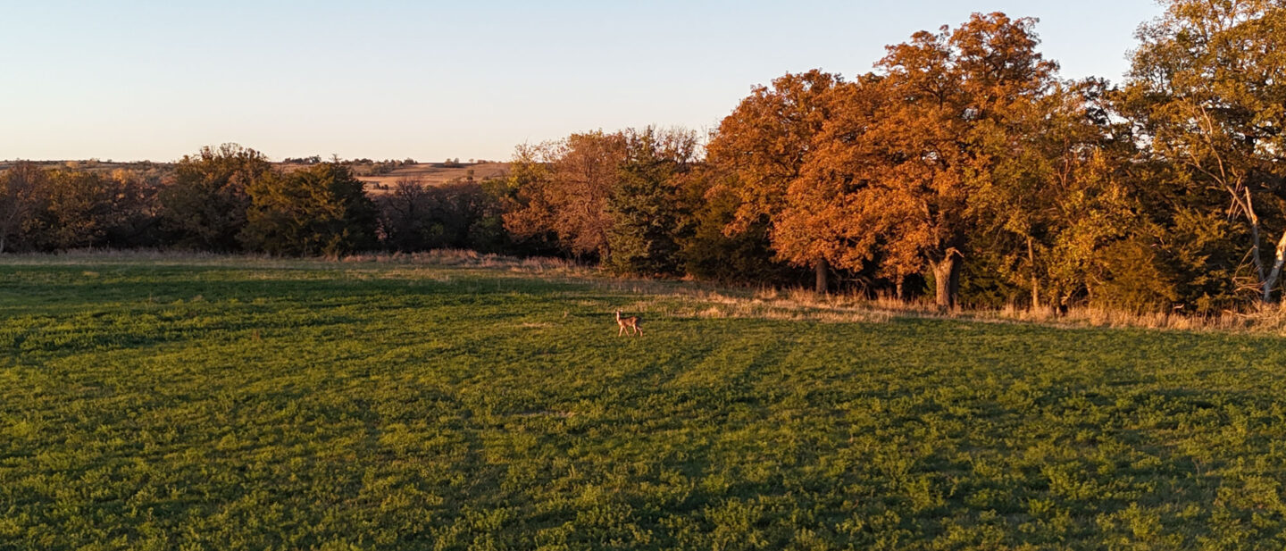 DJI 20251022182914 0077 D